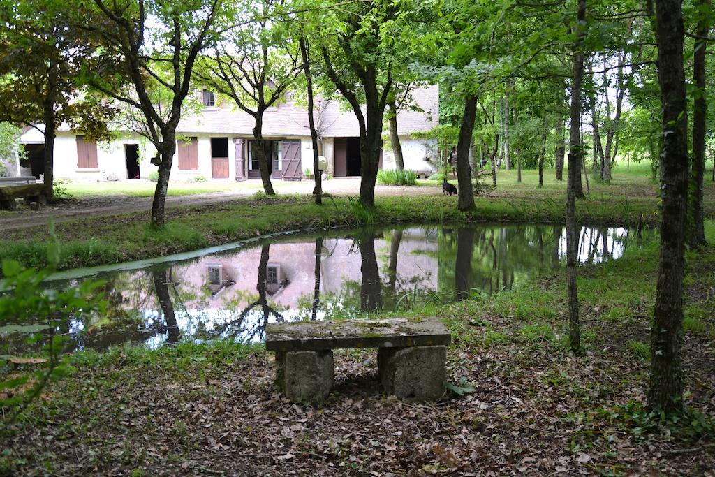 Gite De La Ronceraie Шомон-сюр-Луар Екстер'єр фото